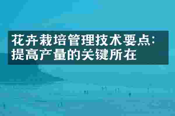 花卉栽培管理技术要点：提高产量的关键所在