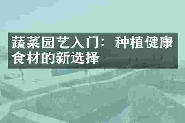 蔬菜园艺入门：种植健康食材的新选择