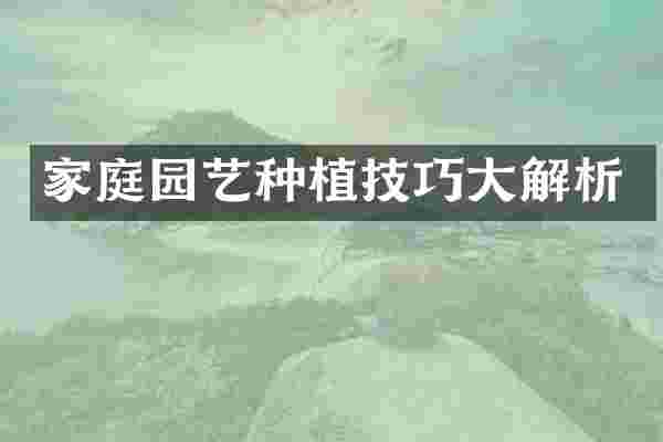 家庭园艺种植技巧大解析