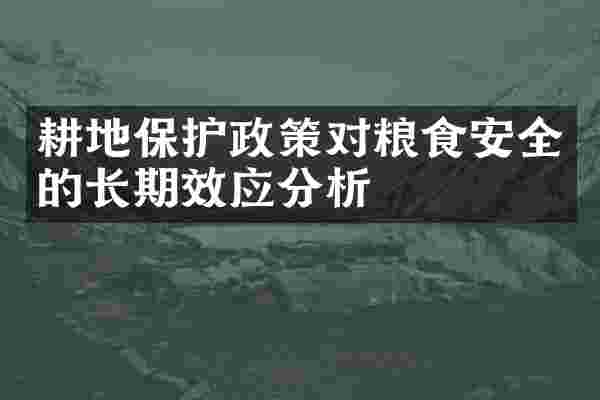 耕地保护政策对粮食安全的长期效应分析