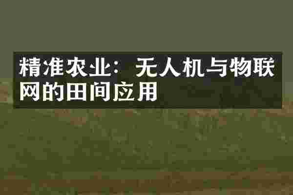 精准农业：无人机与物联网的田间应用