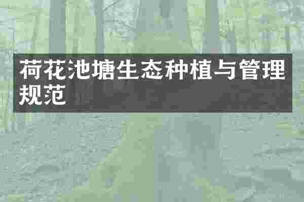 荷花池塘生态种植与管理规范
