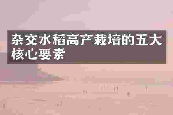 杂交水稻高产栽培的五大核心要素