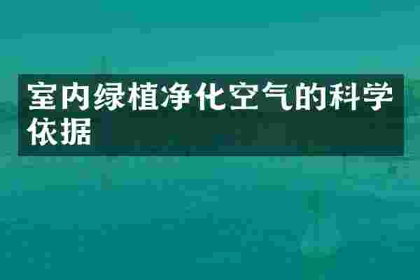 室内绿植净化空气的科学依据