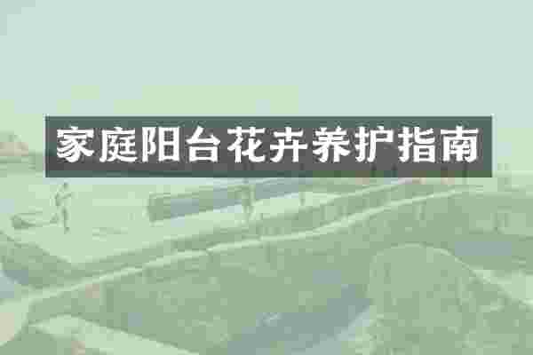 家庭阳台花卉养护指南