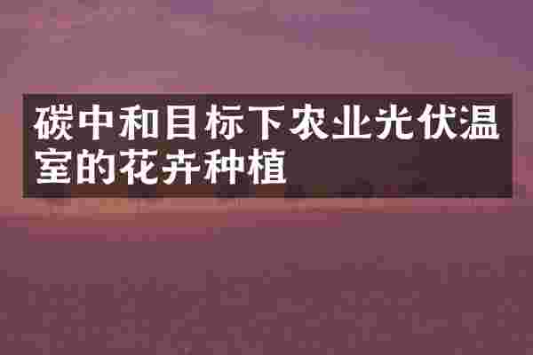碳中和目标下农业光伏温室的花卉种植
