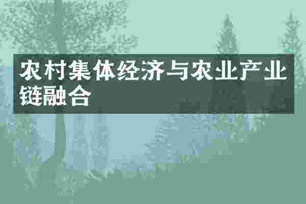 农村集体经济与农业产业链融合