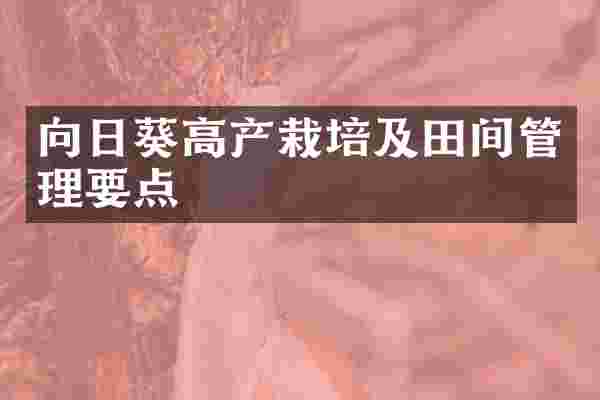 向日葵高产栽培及田间管理要点