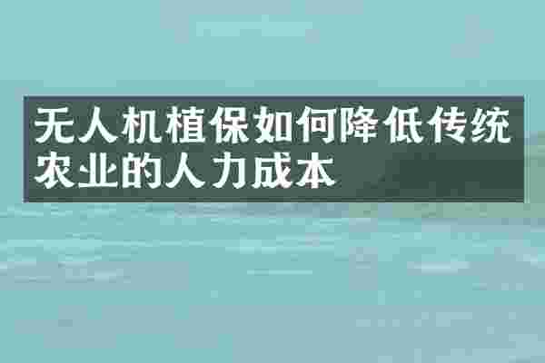 无人机植保如何降低传统农业的人力成本