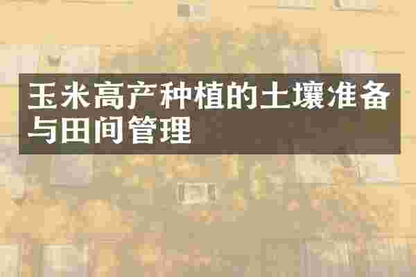 玉米高产种植的土壤准备与田间管理