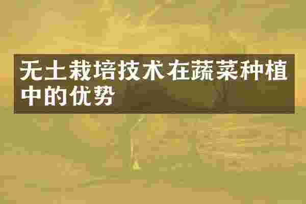无土栽培技术在蔬菜种植中的优势