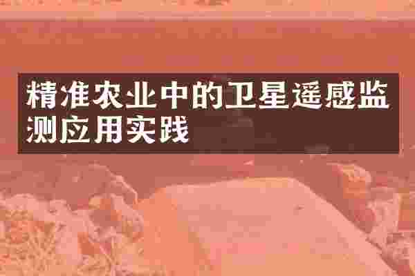 精准农业中的卫星遥感监测应用实践