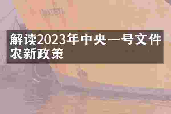解读2023年中央一号文件支农新政策