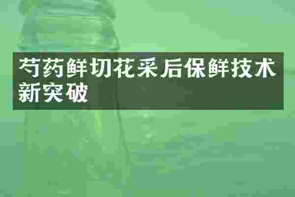 芍药鲜切花采后保鲜技术新突破