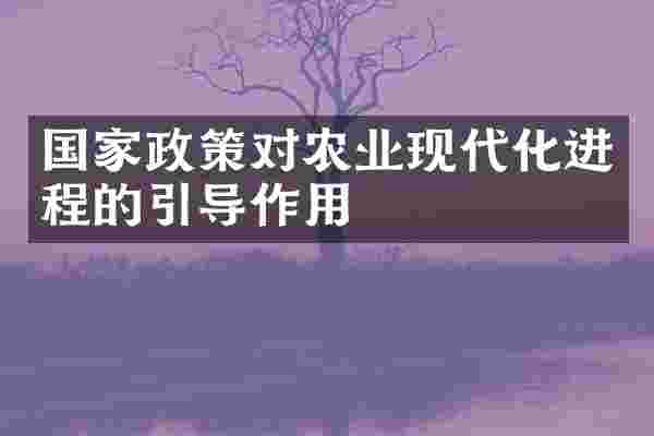 国家政策对农业现代化进程的引导作用