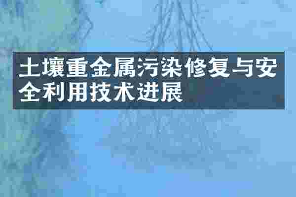 土壤重金属污染修复与安全利用技术进展