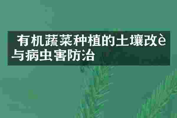  有机蔬菜种植的土壤改良与病虫害防治