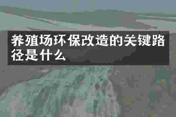 养殖场环保改造的关键路径是什么