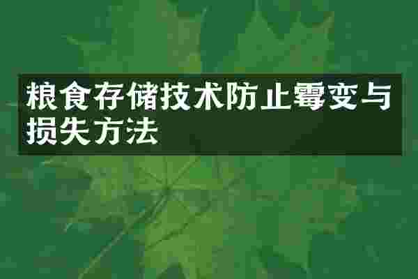 粮食存储技术防止霉变与损失方法