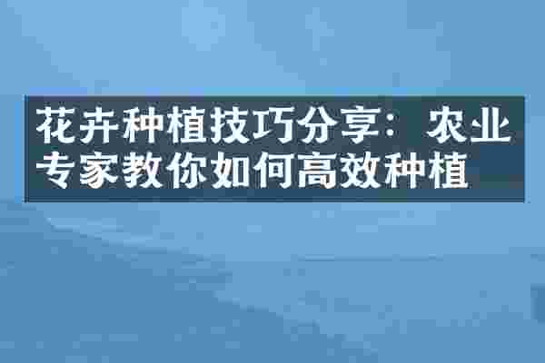 花卉种植技巧分享：农业专家教你如何高效种植