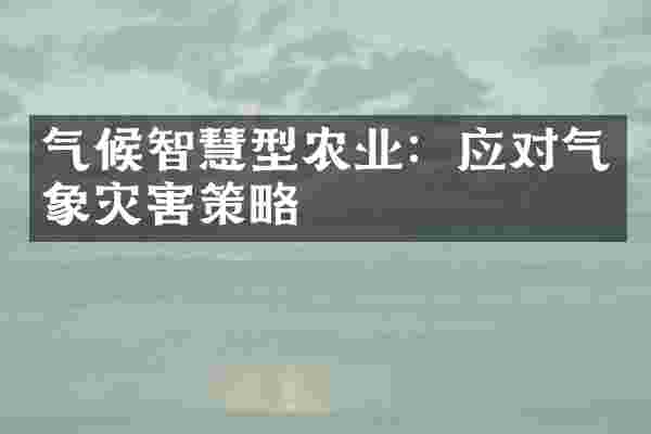 气候智慧型农业：应对气象灾害策略