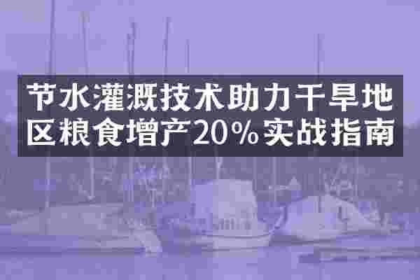 节水灌溉技术助力干旱地区粮食增产20%实战指南