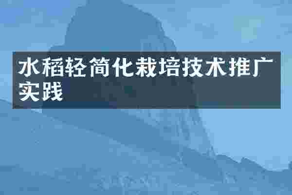 水稻轻简化栽培技术推广实践