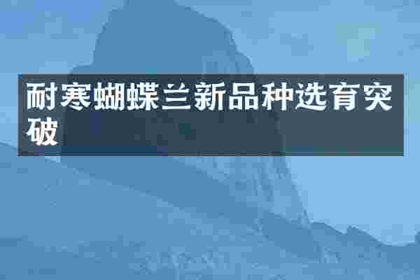 耐寒蝴蝶兰新品种选育突破