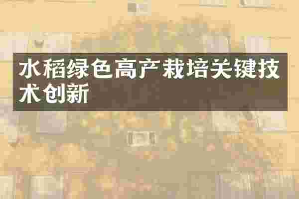 水稻绿色高产栽培关键技术创新