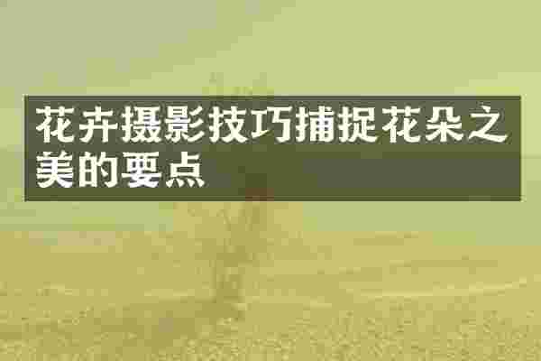 花卉摄影技巧捕捉花朵之美的要点