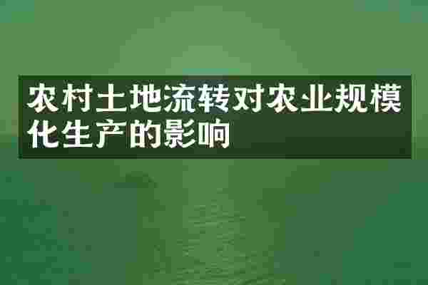 农村土地流转对农业规模化生产的影响