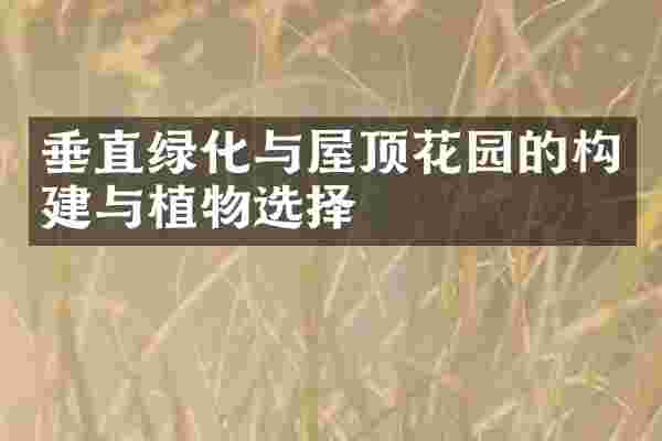 垂直绿化与屋顶花园的构建与植物选择