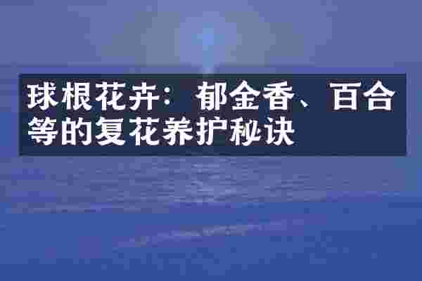 球根花卉：郁金香、百合等的复花养护秘诀