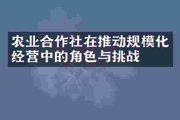 农业合作社在推动规模化经营中的角色与挑战