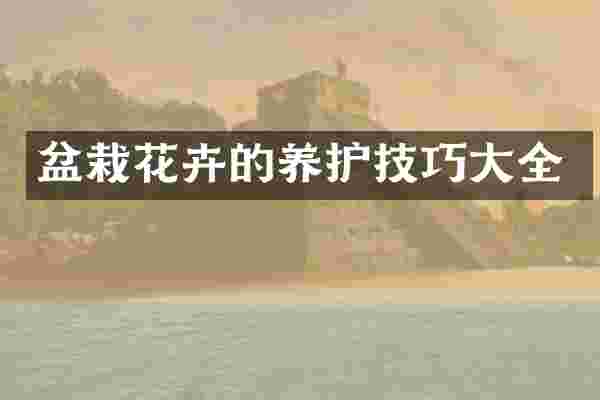 盆栽花卉的养护技巧大全