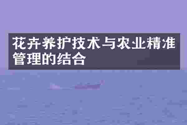 花卉养护技术与农业精准管理的结合