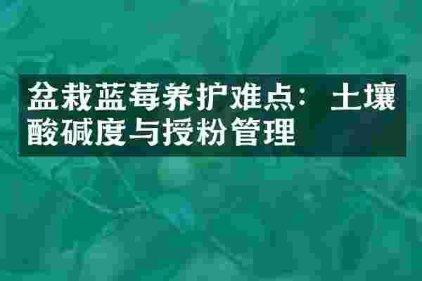 盆栽蓝莓养护难点：土壤酸碱度与授粉管理