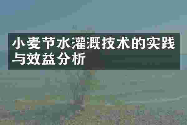 小麦节水灌溉技术的实践与效益分析