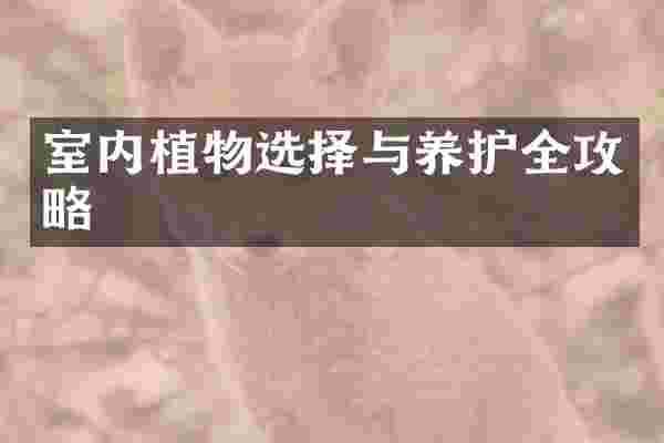 室内植物选择与养护全攻略