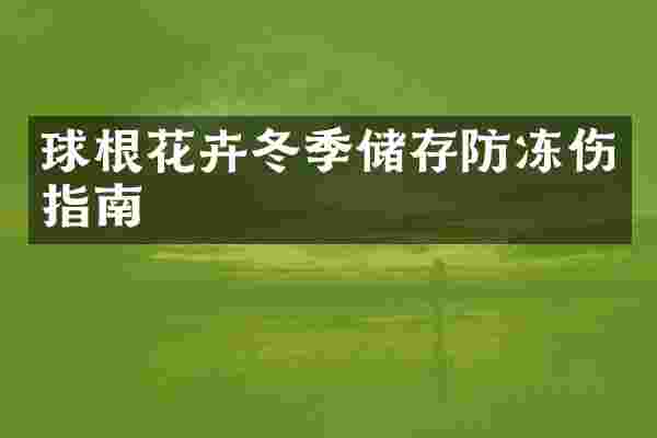 球根花卉冬季储存防冻伤指南