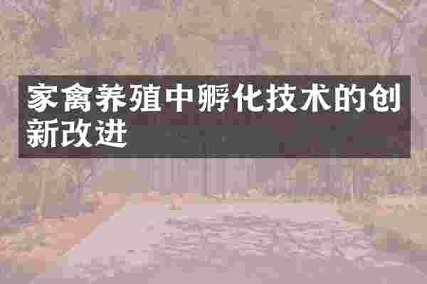 家禽养殖中孵化技术的创新改进