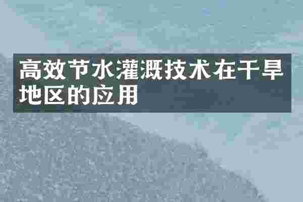 高效节水灌溉技术在干旱地区的应用