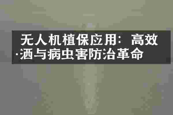  无人机植保应用：高效喷洒与病虫害防治革命